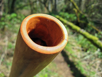 didj 427